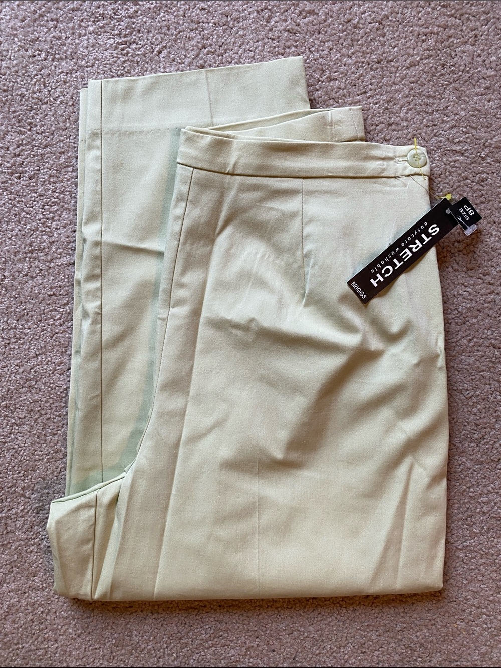 Briggs New York Light Green Stretch Dress Pants